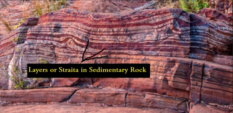 Vertical Sedimentary Rocks Examples Sedimentary Rocks - Types of Sedimentary Rocks, Sedimentary Rocks Examples