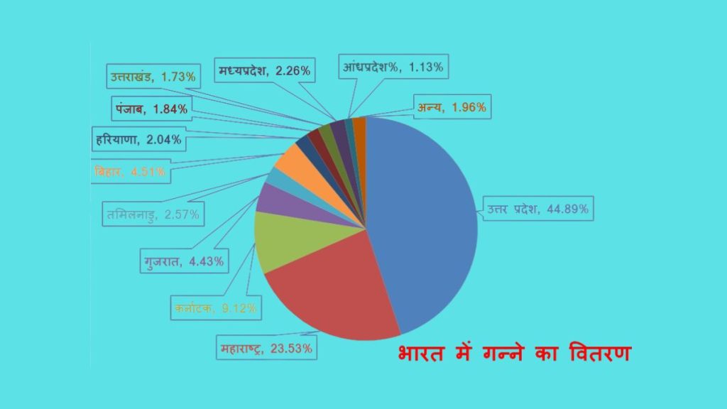 Distribution-of-sugarcane-in-India