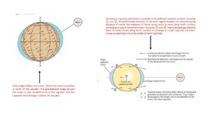 Spring Tide Not Labelled What Causes Tides? High, Low, Spring, Neap Tides | Tidal Bore ...