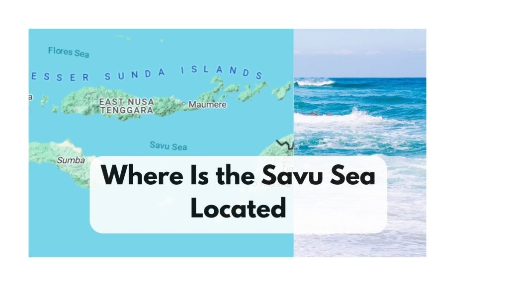 Where Is the Savu Sea Located