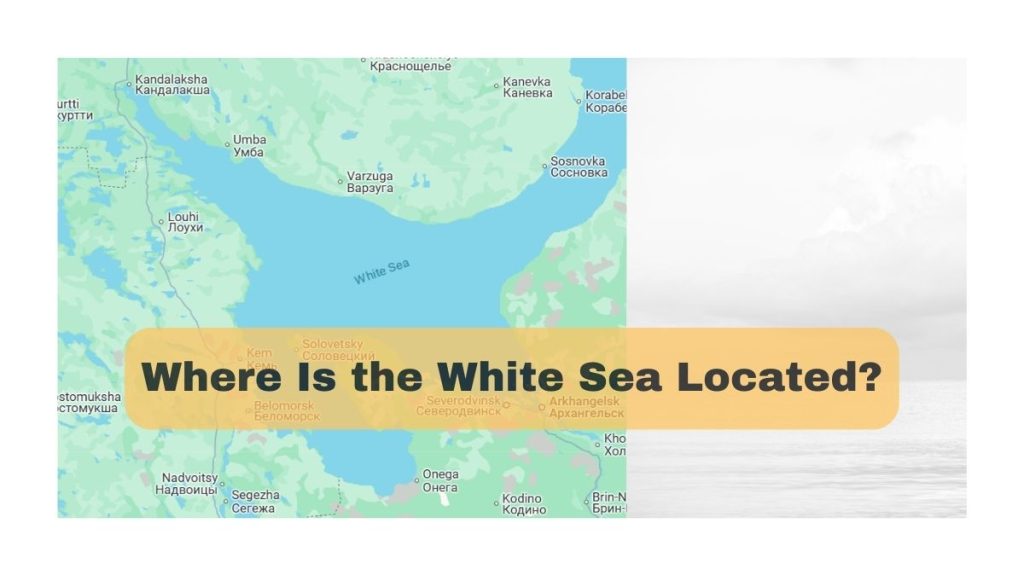 Where Is the White Sea Located