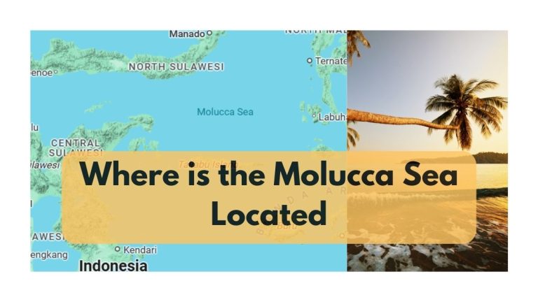 Where is the Molucca Sea Located