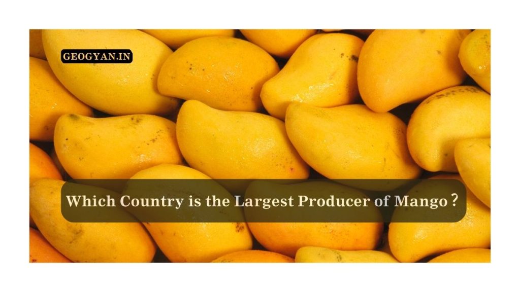 Which Country is the Largest Producer of Mango