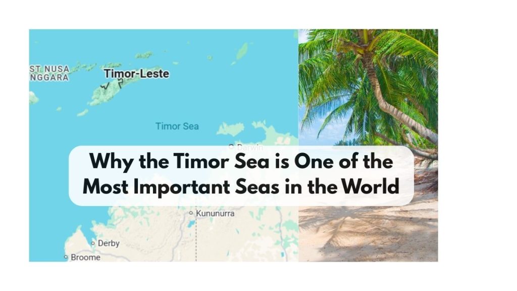 Timor Sea