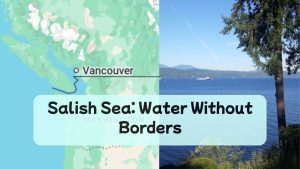 Salish Sea Water Without Borders