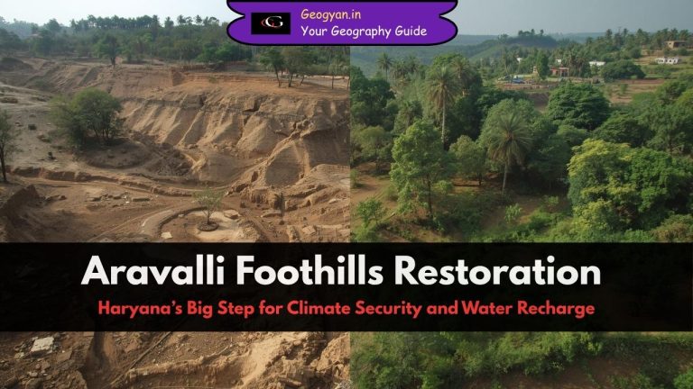 Aravalli Foothills Restoration