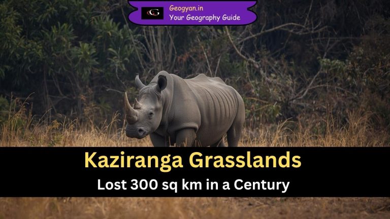 Kaziranga Grasslands